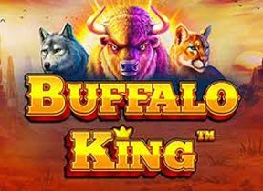 BuffaloKing