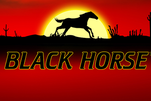 black horse